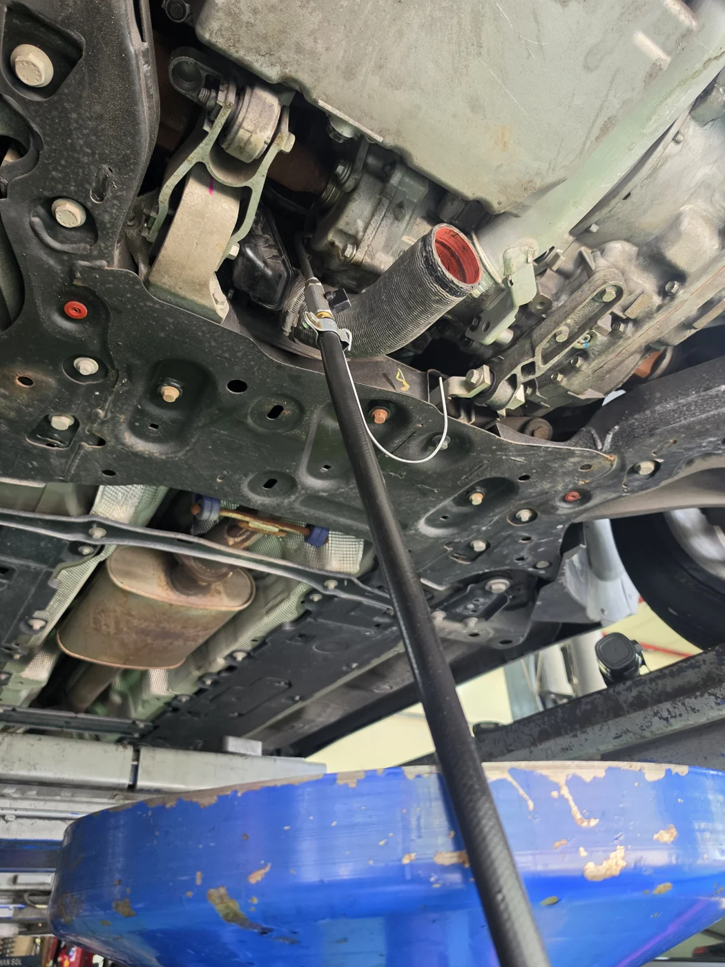 Haldex coupling fluid service