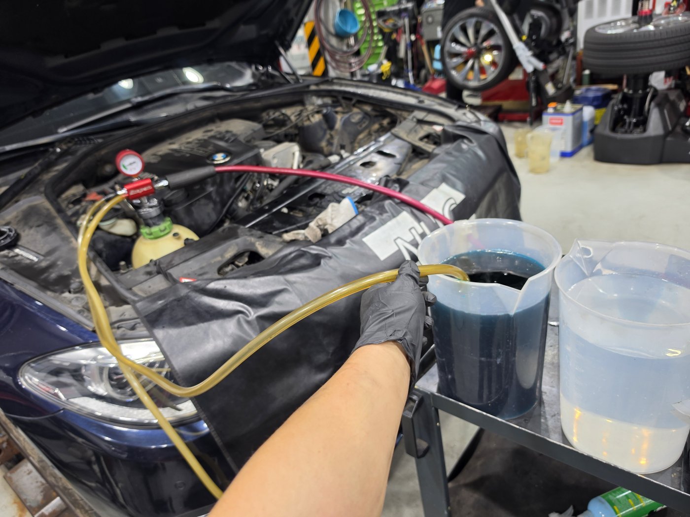 Service hoses connected in the engine bay for the cooling line flush and coolant change