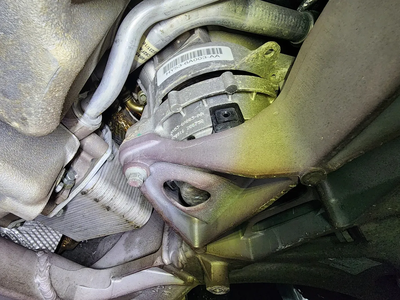 Inspecting the lower engine area and surrounding traces with the undertray removed.