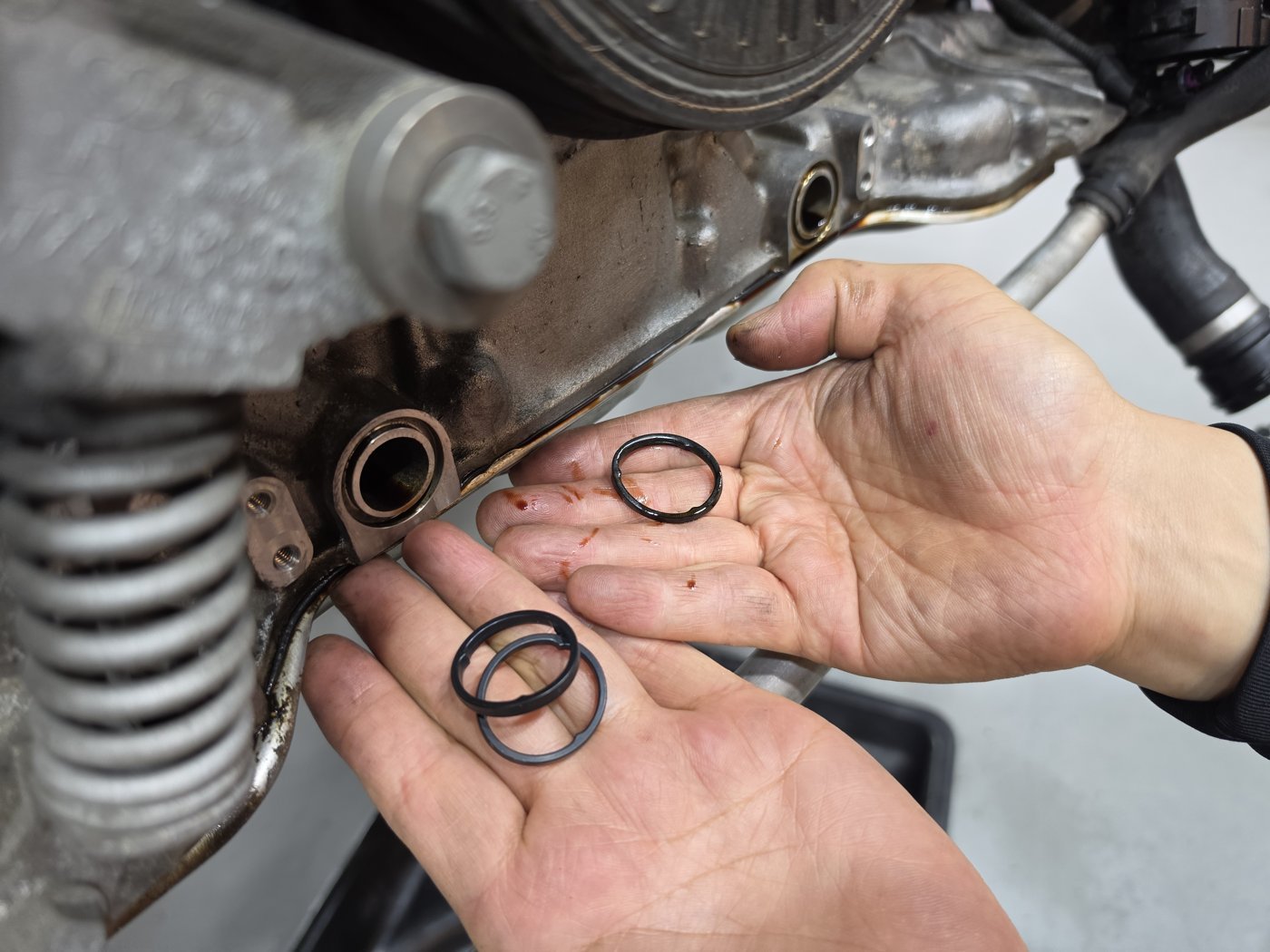 Comparing the new seals with the removed ones before assembly