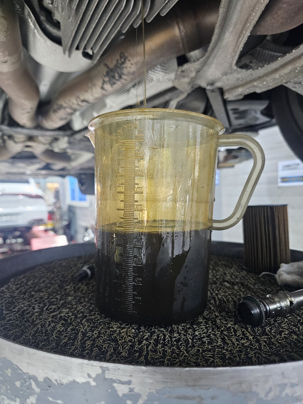 Gear oil drained from the rear differential