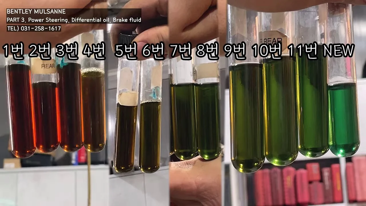 The 2023 Mulsanne: power steering fluid samples 1–11, with fresh fluid marked NEW.
