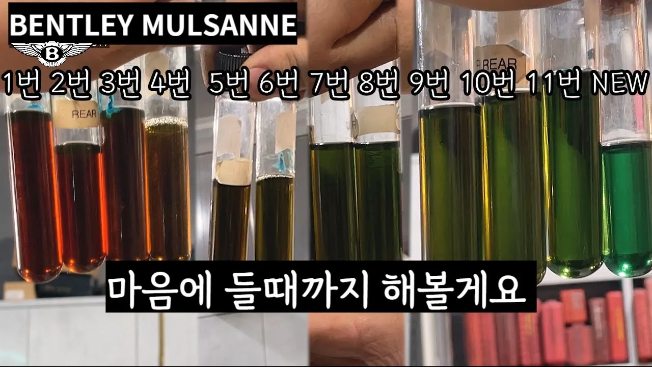 벤틀리 좋아질때 까지 해보자 (EP.3 파워스티어링 , 디퍼런셜 오일, 브레이크액)  bentley maintenance